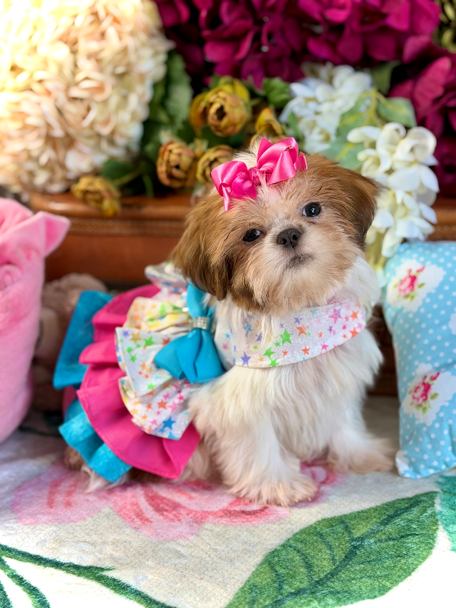Gracie Mae
